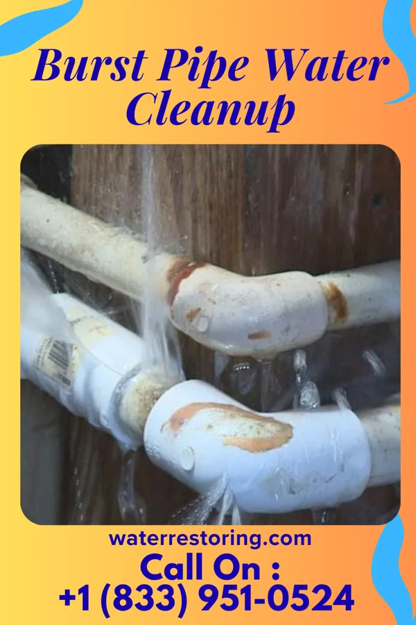 Burst Pipe Water Cleanup in Rio Hondo, TX