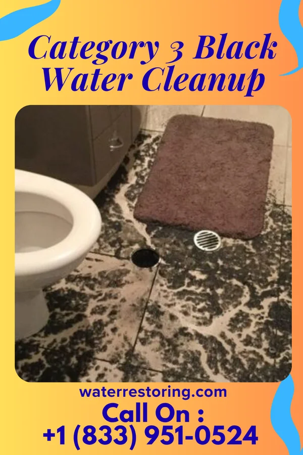 Category 3 Black Water Cleanup in Rio Hondo, TX