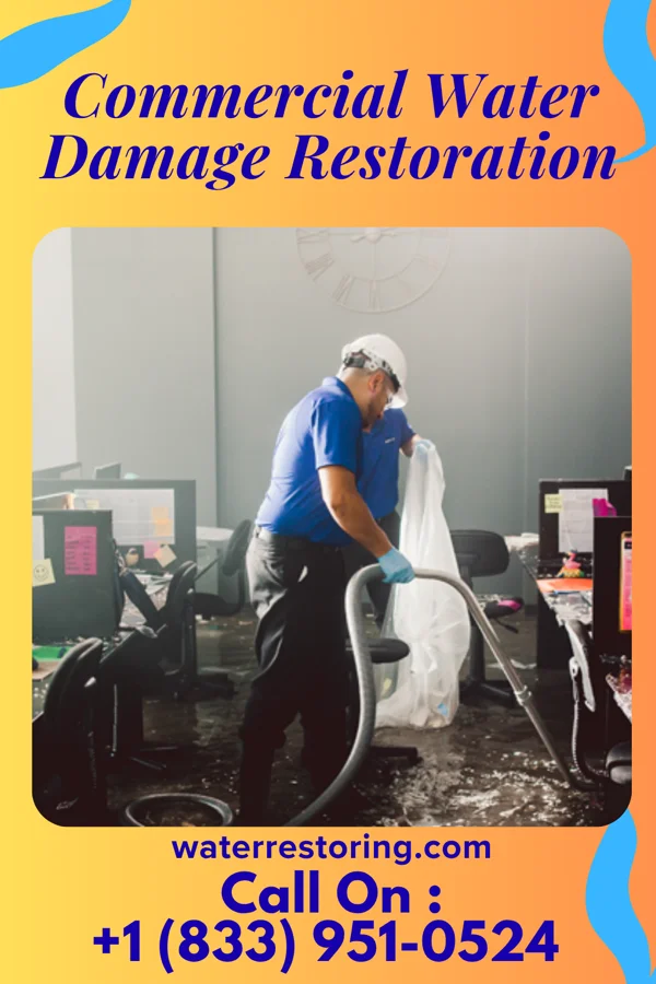 Commercial Water Damage Restoration in Rio Hondo, TX