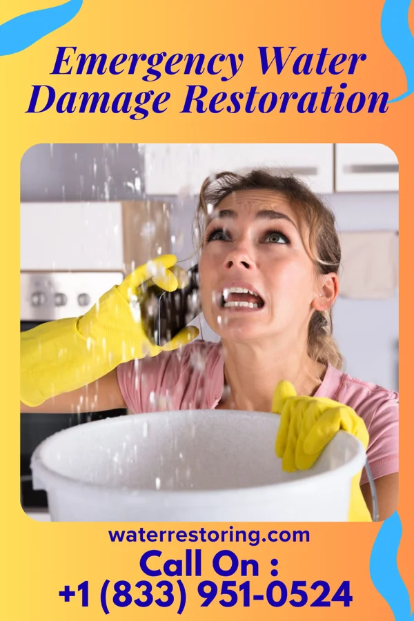 Emergency Water Damage Restoration in Rio Hondo, TX