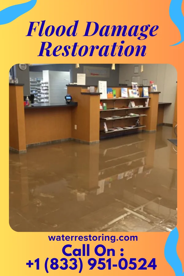 Flood Damage Restoration in Rio Hondo, TX