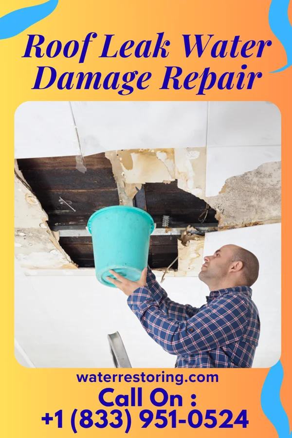 Roof Leak Water Damage Repair in Rio Hondo, TX