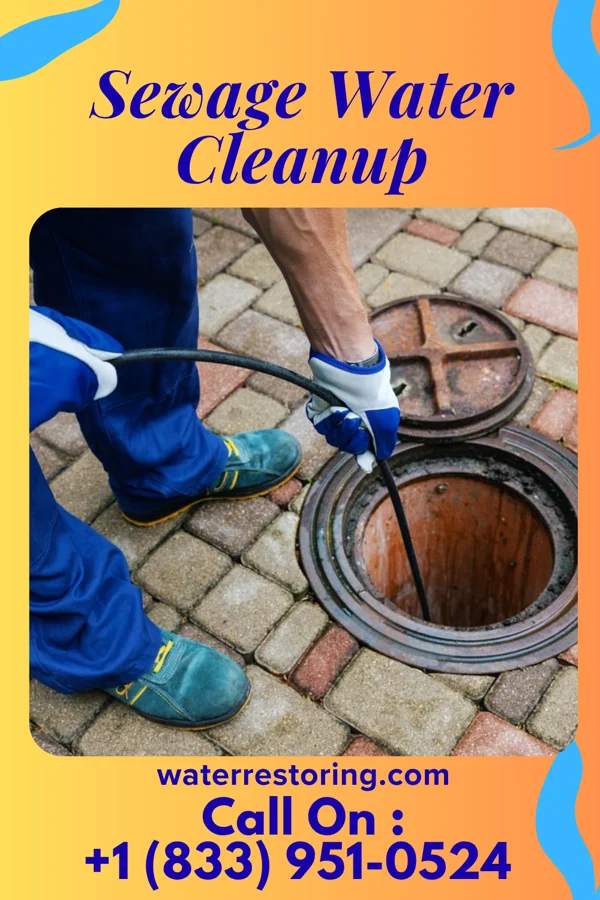 Sewage Water Cleanup in Rio Hondo, TX